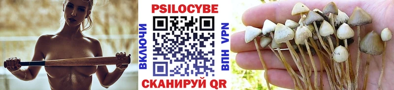 где купить   блэк спрут tor  Галлюциногенные грибы Psilocybe  Камешково 